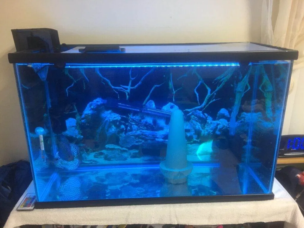 Dosage et traitement de bleu de méthylène pour les aquariums