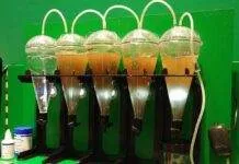 Fabrication maison d'un éclosoir à artémias