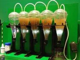 Fabrication maison d'un éclosoir à artémias