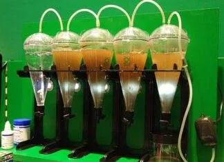 Fabrication maison d'un éclosoir à artémias