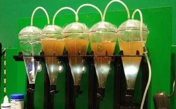 Fabrication maison d'un éclosoir à artémias