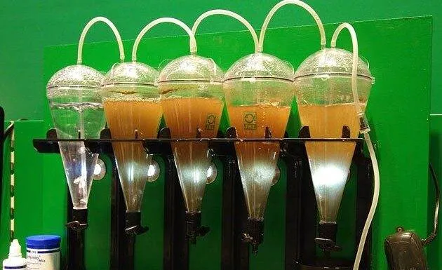 Fabrication au maison d’un éclosoir à artémias Fabrication maison d'un éclosoir à artémias