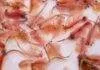 Nauplies d’artémia : nourriture vivante pour les poissons artémias