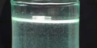 Les anguillule du vinaigre (2)