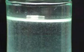 Les anguillule du vinaigre (2)