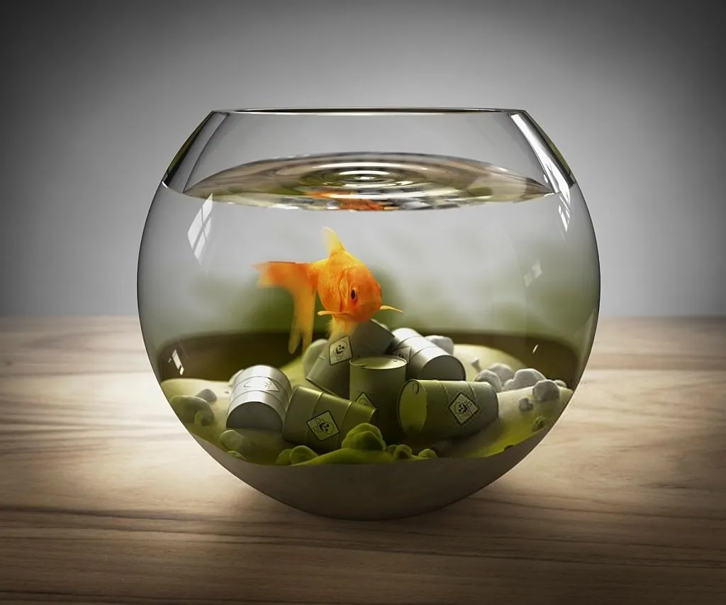comment baisser les nitrites dans un aquarium
