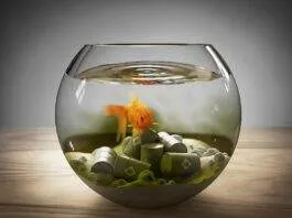 comment baisser les nitrites dans un aquarium