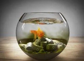 comment baisser les nitrites dans un aquarium