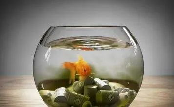 comment baisser les nitrites dans un aquarium