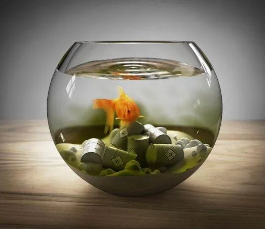 comment baisser les nitrites dans un aquarium