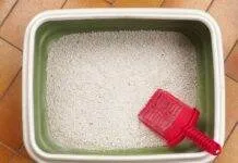 Argile et litière pour chat, de bons médias de filtration ? filtration litere chat aquarium