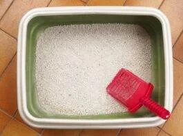 filtration litere chat aquarium