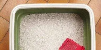 filtration litere chat aquarium