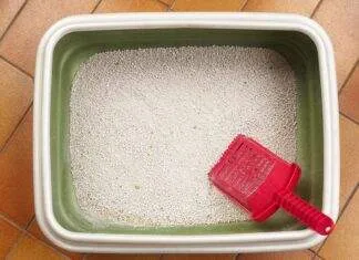 Argile et litière pour chat, de bons médias de filtration ? filtration litere chat aquarium