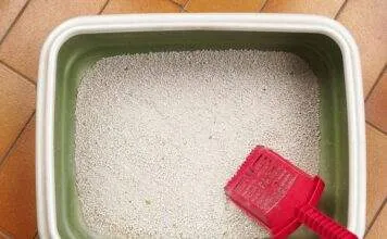 filtration litere chat aquarium