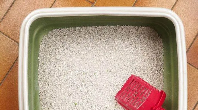 filtration litere chat aquarium