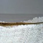 Fiche du poisson Farlowella acus ( Silure aiguille ) Silure aiguille