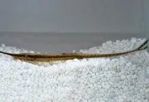 Fiche du poisson Farlowella acus ( Silure aiguille ) Silure aiguille