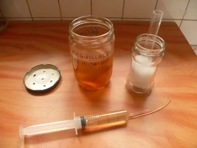 prélever des anguillules du vinaigre