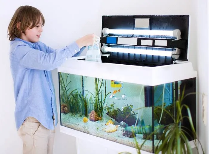 Acheter un bac tout équipé