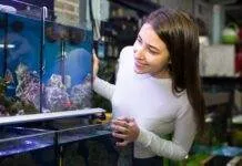 Aquarium : faut-il acheter un bac cuve nue ou tout équipé ? Aquarium faut-il acheter un bac cuve nue ou tout équipé