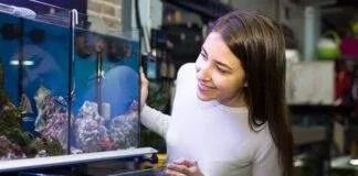 Aquarium faut-il acheter un bac cuve nue ou tout équipé