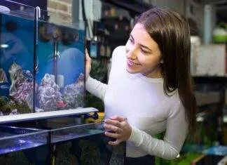 Aquarium faut-il acheter un bac cuve nue ou tout équipé