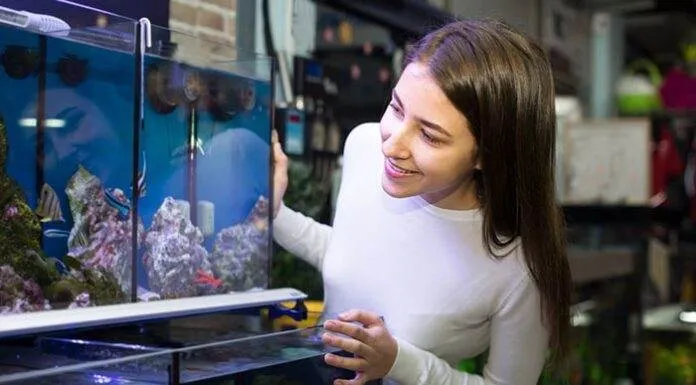 Aquarium faut-il acheter un bac cuve nue ou tout équipé