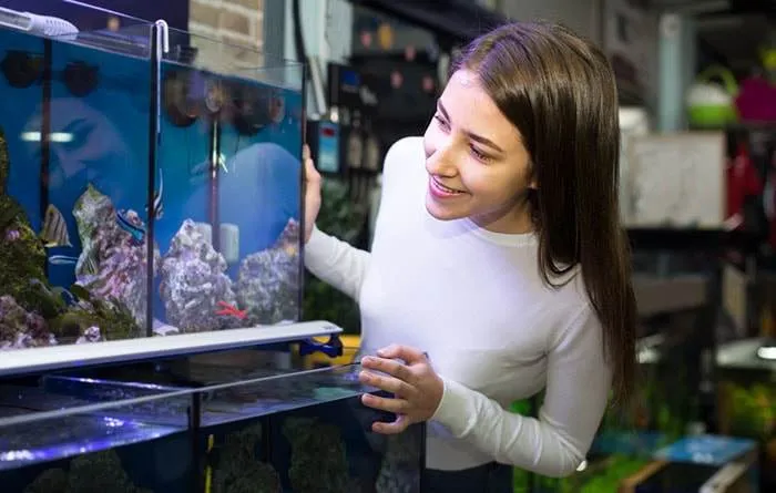 Aquarium faut-il acheter un bac cuve nue ou tout équipé