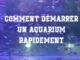 Comment démarrer un aquarium rapidement Comment démarrer un aquarium rapidement