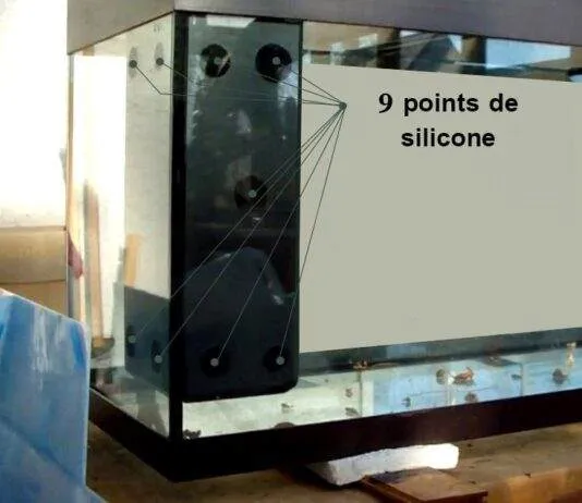 Comment retirer un filtre à décantion interne de type Juwel
