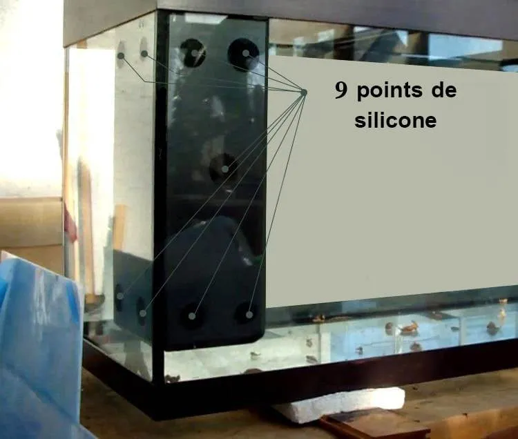Comment retirer un filtre à décantion interne de type Juwel