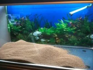 Fabrication du relief aquarium (1)