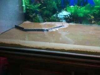 Fabrication du relief aquarium (5)