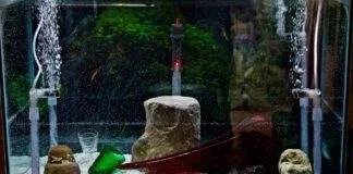 Le principe du filtre pour un aquarium