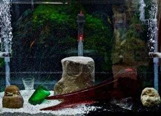 Le principe du filtre pour un aquarium