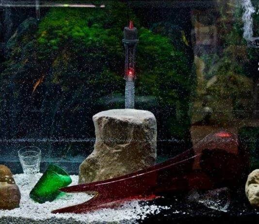 Le principe du filtre pour un aquarium