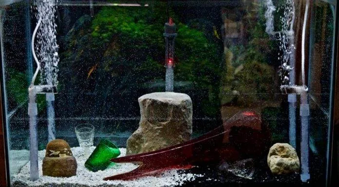 Le principe du filtre pour un aquarium