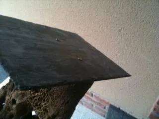 Maintenir une racine qui flottent aquarium (2)