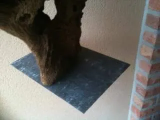 Maintenir une racine qui flottent aquarium (3)