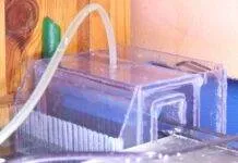 Mise en place dans le bac