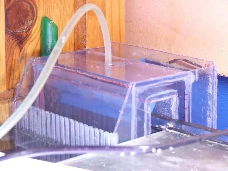 Mise en place dans le bac