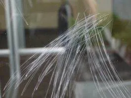 Astuce pour enlever les rayures sur les vitres d’un aquarium