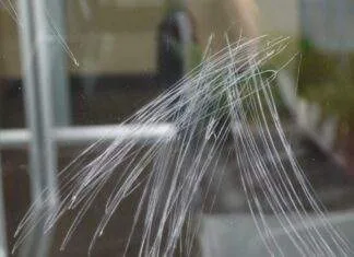 Astuce pour enlever les rayures sur les vitres d’un aquarium