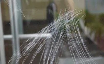 Astuce pour enlever les rayures sur les vitres d’un aquarium