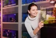 Comment et avec quoi nourrir les alevins Comment et avec quoi nourrir les alevins poisson