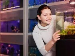 Comment et avec quoi nourrir les alevins poisson