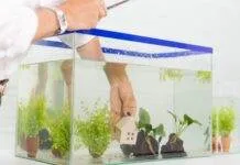 Mon sol va t’il supporter la charge de mon aquarium ? Mon sol va t'il supporter la charge de mon aquarium