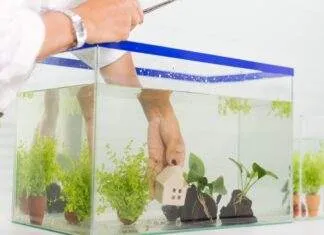 Mon sol va t'il supporter la charge de mon aquarium