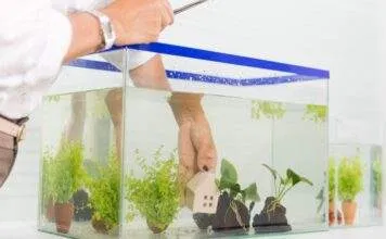 Mon sol va t’il supporter la charge de mon aquarium ? Mon sol va t'il supporter la charge de mon aquarium